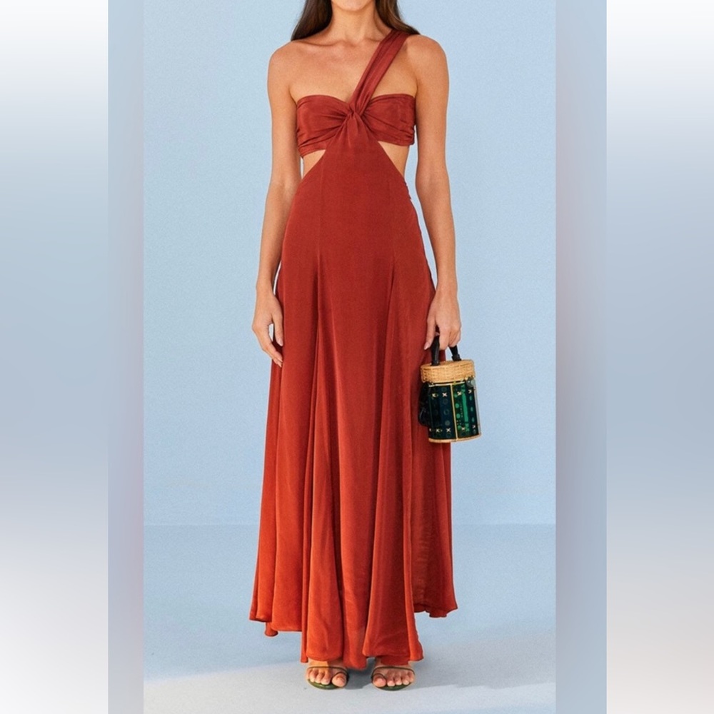 Farm Rio Brown Dress